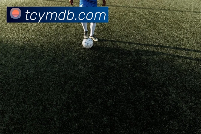 十大信誉好的平台APP 体育赛事宣传图